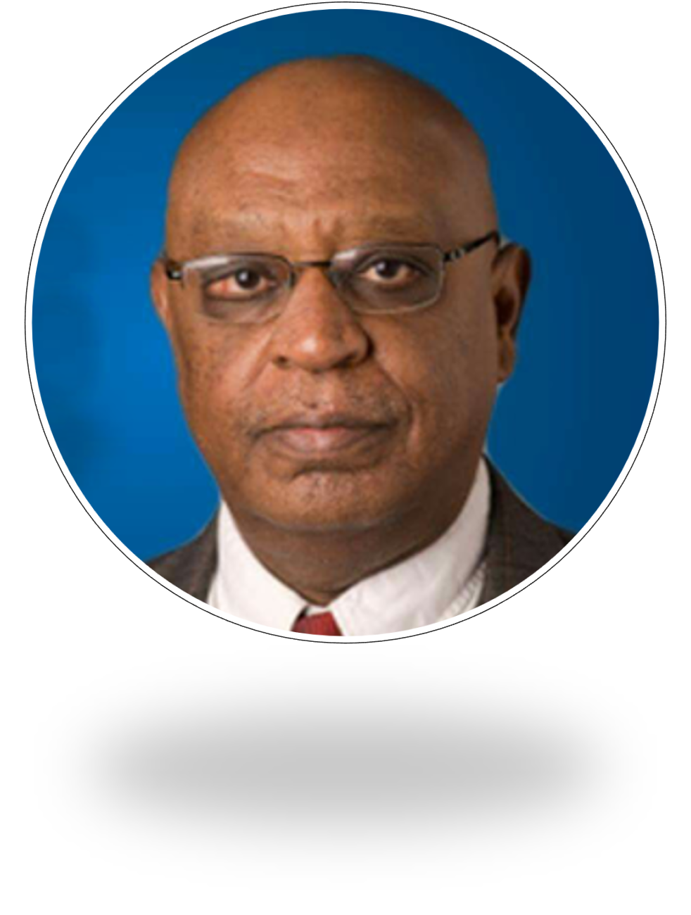 Prof. Osama Awad Al-Karim